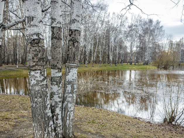 Опять проиграем? Для благоустройства парка 50-летия ВЛКСМ нужно еще 121 тыс. голосов