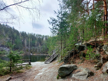 Леса в Свердловской области закрыли для посетителей