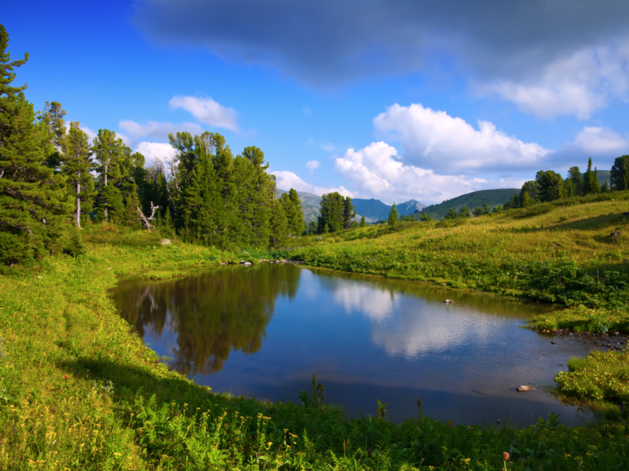 Недосчитались 74 млрд руб. Генпрокуратура может прийти с масштабной проверкой в Минприроды