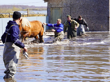 Пострадавшим от наводнения в Тюменской области помогут восстановить жилье