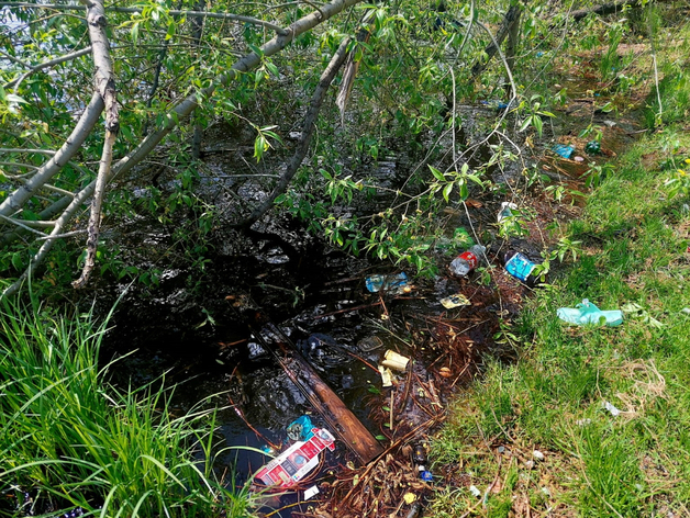 Референдум в Сысерти все же состоится? Областной суд встал на сторону протестующих