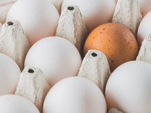 Башкирский «Таврос» вложит 27 млрд руб. в производство яиц в Нижегородской области 