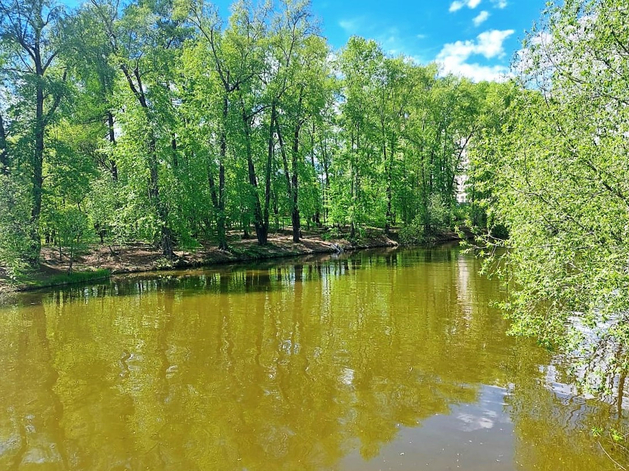 Цинк, мышьяк, нефтепродукты — подарок Чусовой от Первоуральска