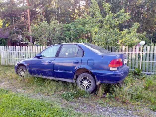 Рост в 2,5 раза. Доходы от утильсбора на автомобили рекордно выросли