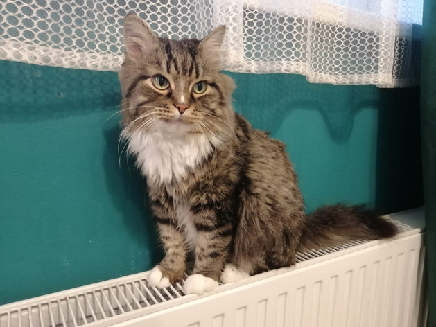 С понедельника в Свердловской области вырастут тарифы на коммунальные услуги