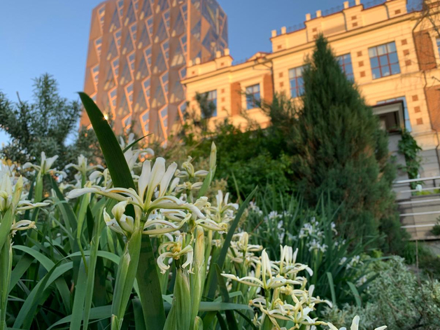 В середнячках. Какие места в рейтингах городов, удобных для жизни, занимает Екатеринбург