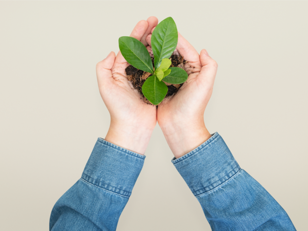 Бюджет недостаточно пополняется. Экосбор с бизнеса будут взимать по-новому

