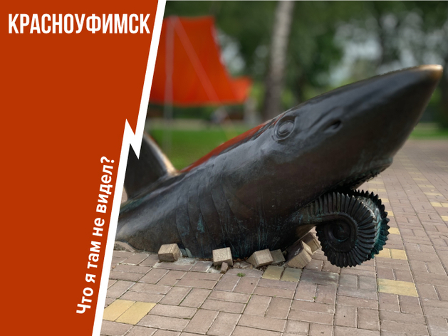 Акулы не в Африке, а гораздо ближе, в Красноуфимске. Не знали?