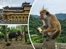 Тюменский аэропорт Рощино переходит на зимнее расписание. Куда полетим