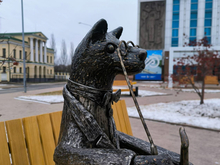 В центре Тюмени на лавку усадили соболя. Горожане укутали его шарфом