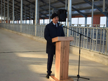 Тюменский холдинг АРСИБ инвестировал 400 млн в расширение фермы в Приисетье