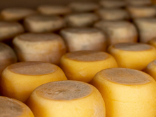 В Челябинской области продают сыроваренный завод 