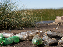  УФАС нашло нарушения в контракте челябинского Управления экологии