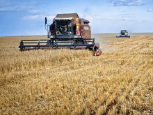 В Челябинске разработали онлайн-платформу для помощи аграриям  