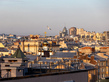 Петербург держит статус города-лидера по качеству жизни