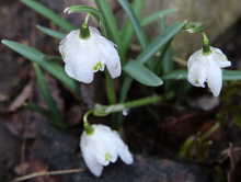 Петербургская компания новоуренгойского бизнесмена причинила вред почве на 60 млн рублей
