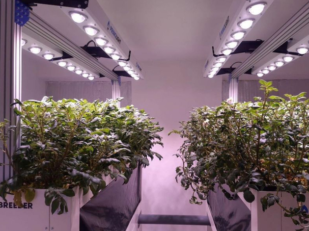 Уральская компания разработала оборудование для круглогодичного выращивания картофеля Уральская компания разработала оборудование для круглогодичного выращивания картофеля