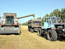 Деньги, климат, урожай: челябинские аграрии назвали основные проблемы отрасли