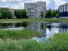 Утиный пруд в центральной части Тюмени благоустроят за 23,4 млн рублей