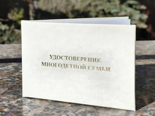 Тюменские власти выделят миллиард рублей на поддержку многодетных семей