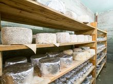 Крупный тюменский холдинг запустит производство сыра на родине Распутина