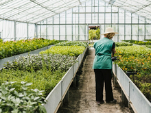 Стали известны специалисты агрокомплекса, которых не хватает работодателям в Челябинске