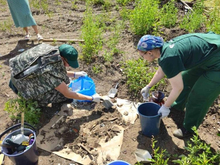 Нижегородское коммунальное предприятие нанесло ущерб почвам на 400 млн руб. 