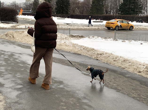 В России появилась новая социальная сеть «для питомцев и их людей» В России появилась новая социальная сеть «для питомцев и их людей»