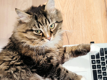 Пора возвращаться в офис: в Свердловской области падает спрос на удаленщиков