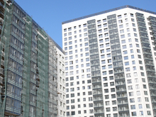 Эксперты оценили инициативу петербургского депутата о запрете студий