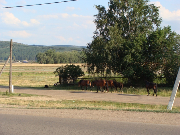 Условия получения сельской ипотеки изменились. Претенденты должны работать в АПК Условия получения сельской ипотеки изменились. Претенденты должны работать в АПК