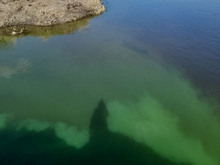Экологи назвали причину зеленого цвета воды в реке Миасс в Челябинске