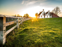 В Нижегородской области участки под ИЖС и фермерство за месяц подорожали почти на 3%