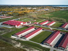 Тюменская область продаст птицефабрику, чтобы пополнить бюджет региона