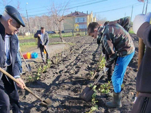 Сельские школы Тюменской области будут выращивать на продажу яблоки и вишню