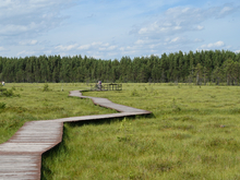 Ленобласть добавит ежегодную статью расходов на содержание экомаршрутов