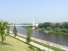 Бизнесмен Владимир Шевчик предлагает объединить Тюмень с ближайшими поселками