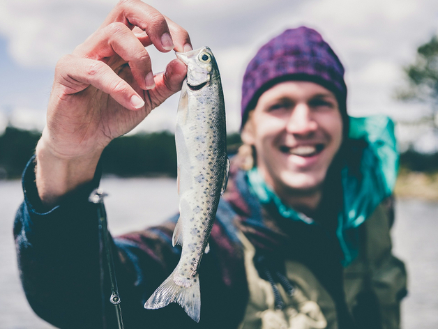 Число осужденных взяточников-«миллионеров» в России выросло до 1933 человек в 2024 г.