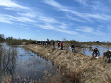 Тюменские власти открыли горячую линию для пострадавшего от паводка бизнеса