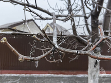 В Нижегородской области прогнозируют заморозки до -4°С 
