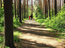 Спортплощадке рядом с челябинским бором все-таки быть — строительство разрешил суд