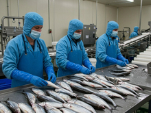 Тобольский рыбзавод откроет консервный цех и дегустационную площадку