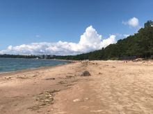 Школа водных видов спорта на Финском отбилась от исков Смольного