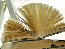 Райсуду в Петербурге предстоит дело директора «Подписных изданий»