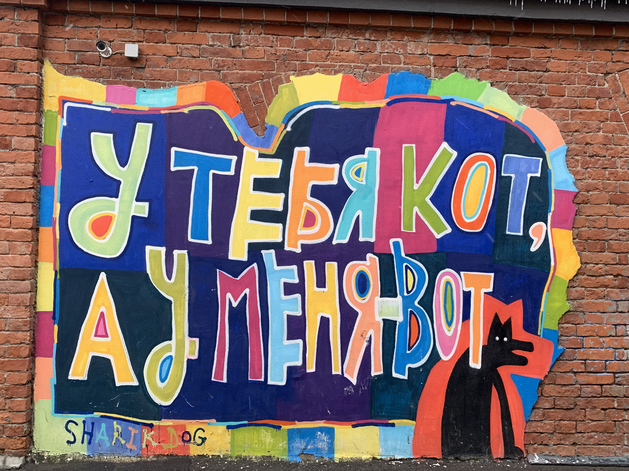 Стрит-арт, Анастасия Селезнева