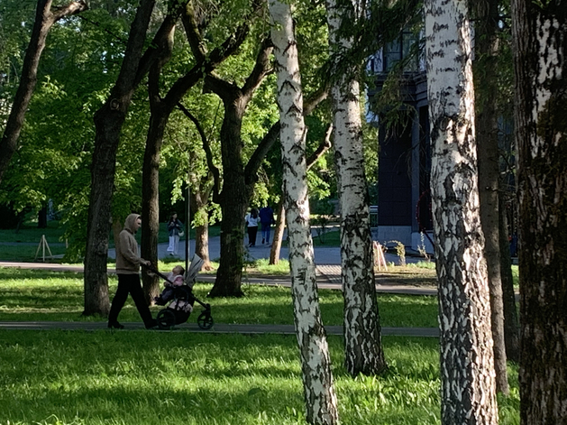 Закон об открытом реестре неплательщиков алиментов вступил в силу