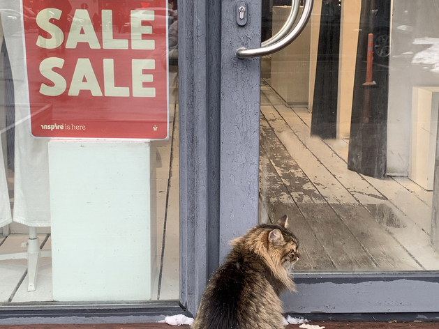 Ушедшим из РФ иностранным компаниям запретят обратный выкуп акций