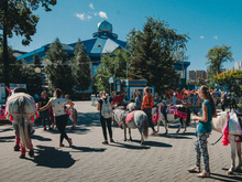 С 1 сентября в Тюмени вступают в силу новые правила катания на лошадях