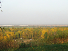 Иногородний девелопер застроит 100 га в Пушкине