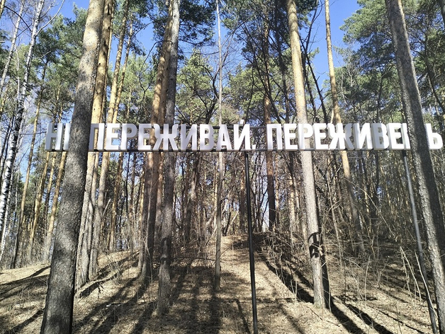 Финансирование социальных проектов в Екатеринбурге перешагнет за 5 млрд руб.